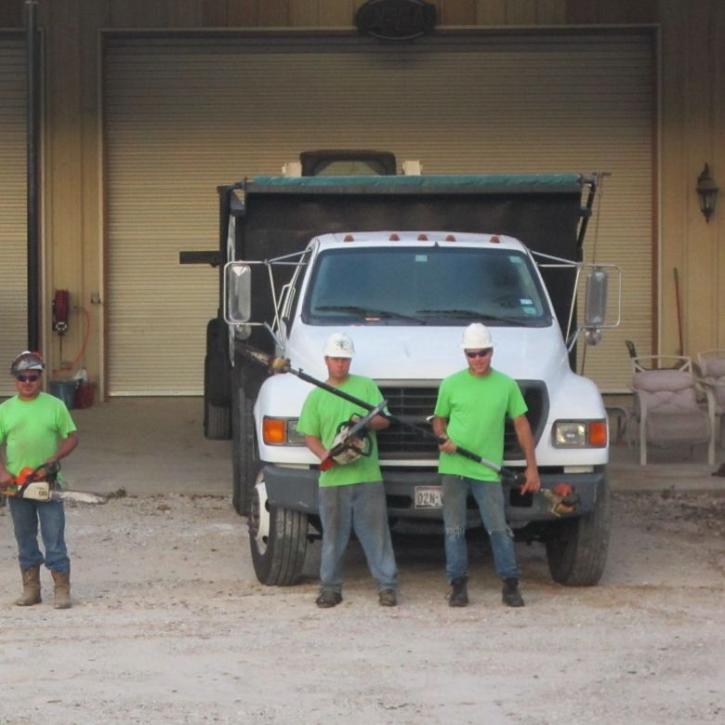 Image for Top Cut Tree Service with ID of: 2564372