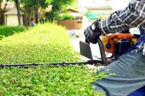Image for Orange County Termite Control with ID of: 2565407
