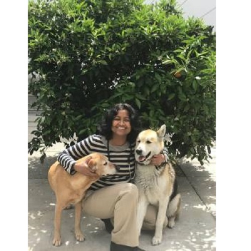 Image for Ashton Animal Hospital with ID of: 2565504