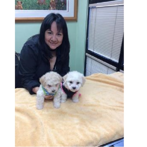 Image for Ashton Animal Hospital with ID of: 2565505