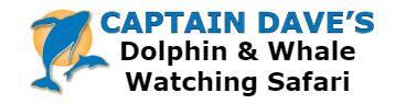 Image for Captain Dave's Dolphin &Whale Watching Safari with ID of: 2565663