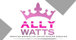 Image for Ally's Braiding Salon with ID of: 2567180
