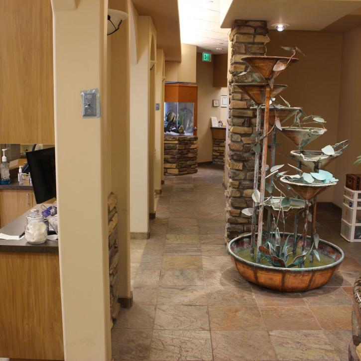 Image for Adrian Pulkrabek DDS PLLC with ID of: 2567323