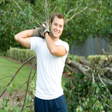 Image for Dick's Tree Service with ID of: 2567481