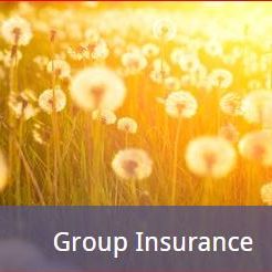 Image for JMS Brokerage with ID of: 2568668