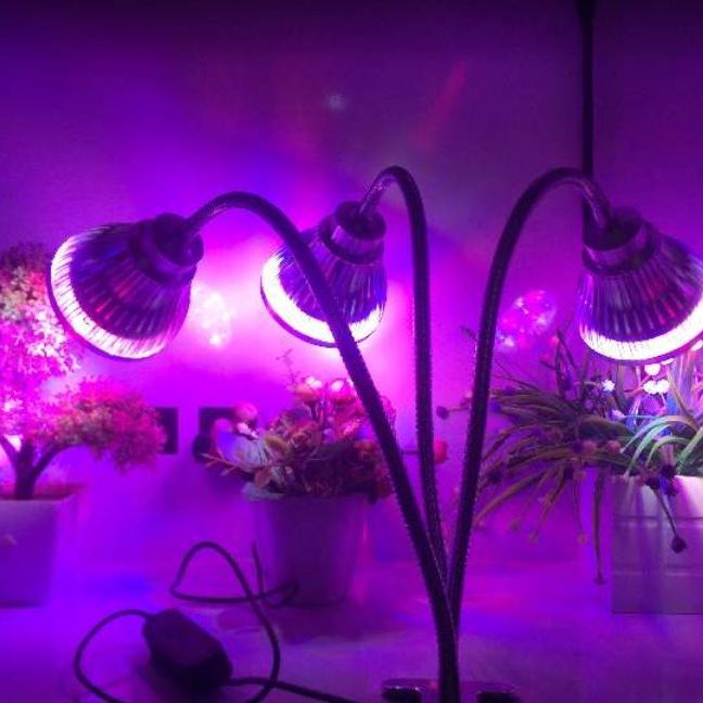 Image for Smart LED Lighting with ID of: 2568820