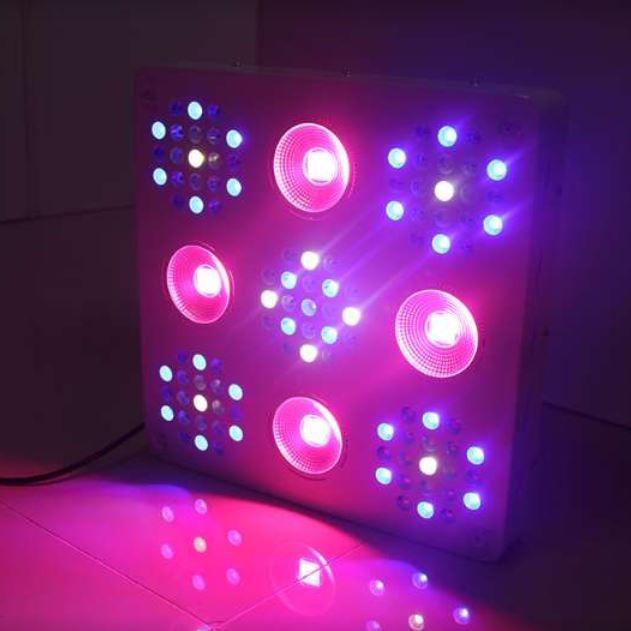 Image for Smart LED Lighting with ID of: 2568821