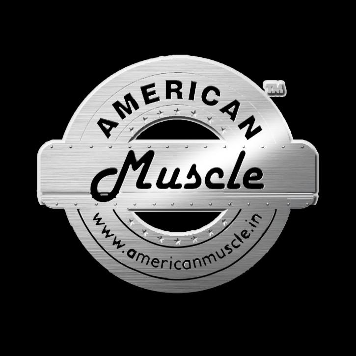 Image for american car imports with ID of: 2569118