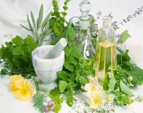 Image for Valley Naturopathic & Acupuncture with ID of: 2569996