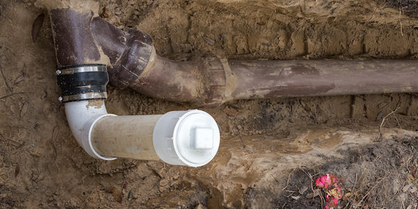 Image for Greenwave Plumbing with ID of: 2573677