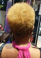 Image for Virtuously Gifted Salon with ID of: 2575699