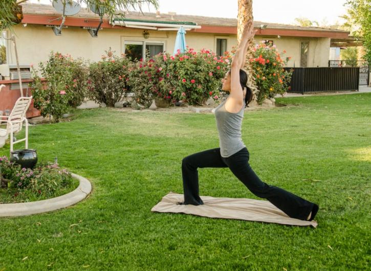Image for Phoenix Rising Recovery with ID of: 2576857