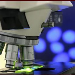 Image for Dermatopathology Diagnostics with ID of: 2578218