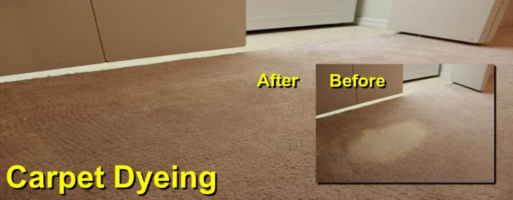 Image for Creative Carpet Repair Dearborn with ID of: 2578504