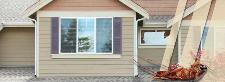 Image for Kilter Termite & Pest Control with ID of: 2578906