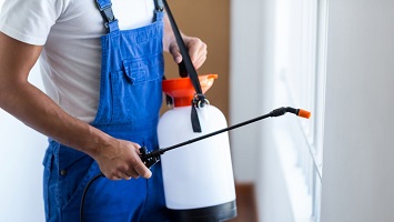 Image for Best Pest Control Arlington TX with ID of: 2579045