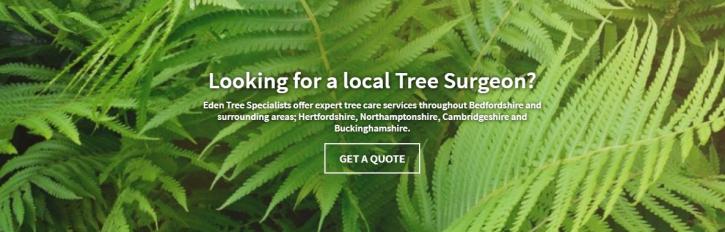 Image for Eden Tree Specialists with ID of: 2579284