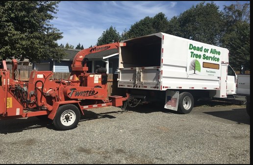Image for Dead or Alive Tree Service with ID of: 2579653