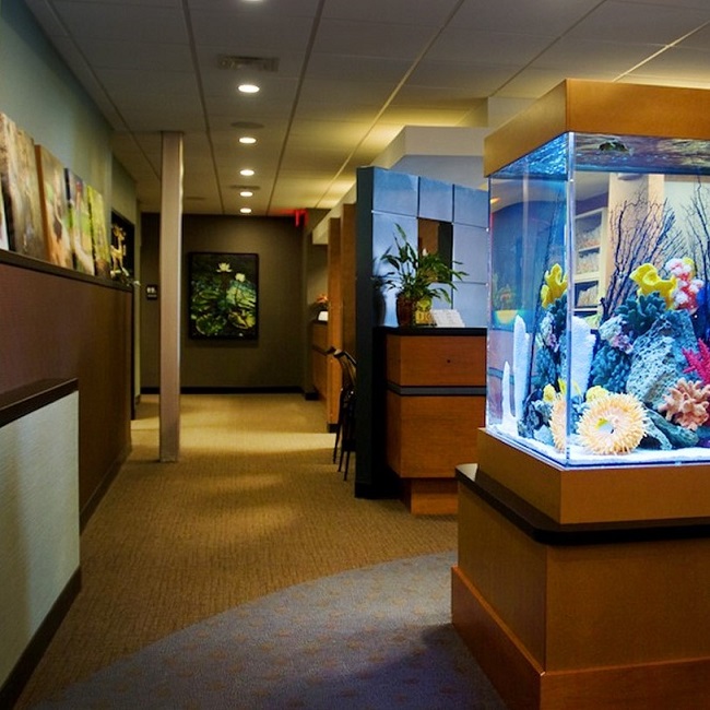 Image for ABC Dentistry & Orthodontics with ID of: 2579780