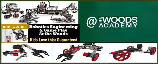 Image for Robotics Engineering and Game Play: The Robotic Engineer Summer Camp with ID of: 2579929