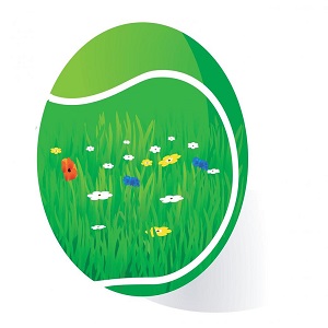 Image for Suwanee Lawn Care with ID of: 2580486