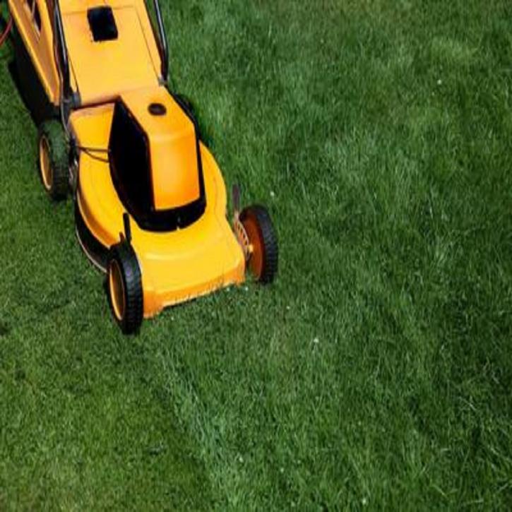 Image for Suwanee Lawn Care with ID of: 2580490