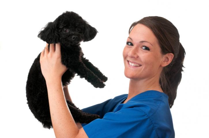 Image for Andreas Mobile Pet Grooming with ID of: 2582472
