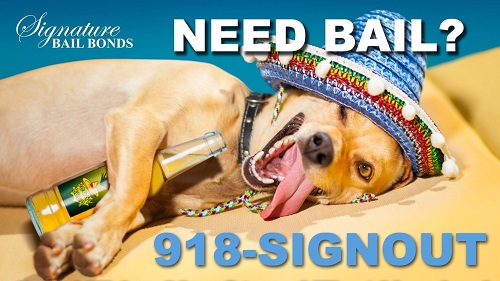 Image for Signature Bail Bonds with ID of: 2583763