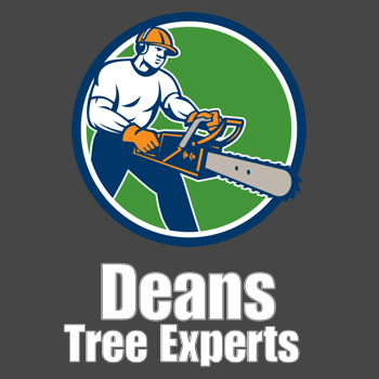 Image for Deans Tree Services with ID of: 2584091
