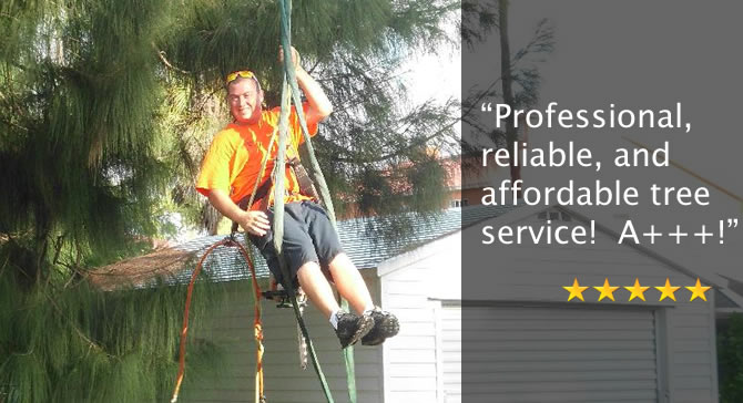 Image for Deans Tree Services with ID of: 2584136