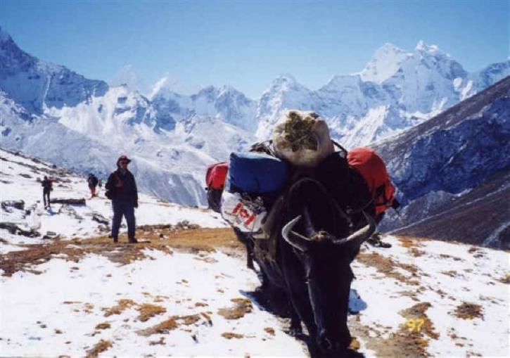 Image for Mount Experience | Best trekking in Nepal with ID of: 2584665