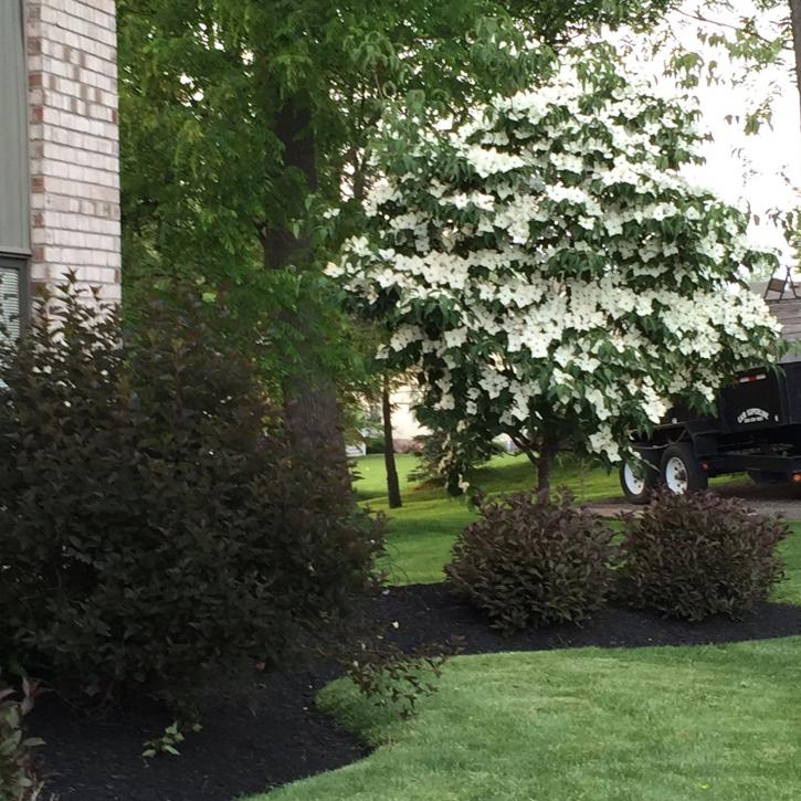 Image for K/T Enterprises LLC with ID of: 2585124
