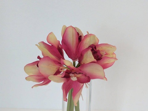 Image for Silk Flowers Perth with ID of: 2587440