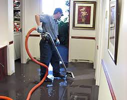 Image for Ramano Water Damage Cleaning with ID of: 2588532