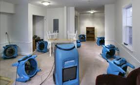 Image for Avant Water Damage Company with ID of: 2589437