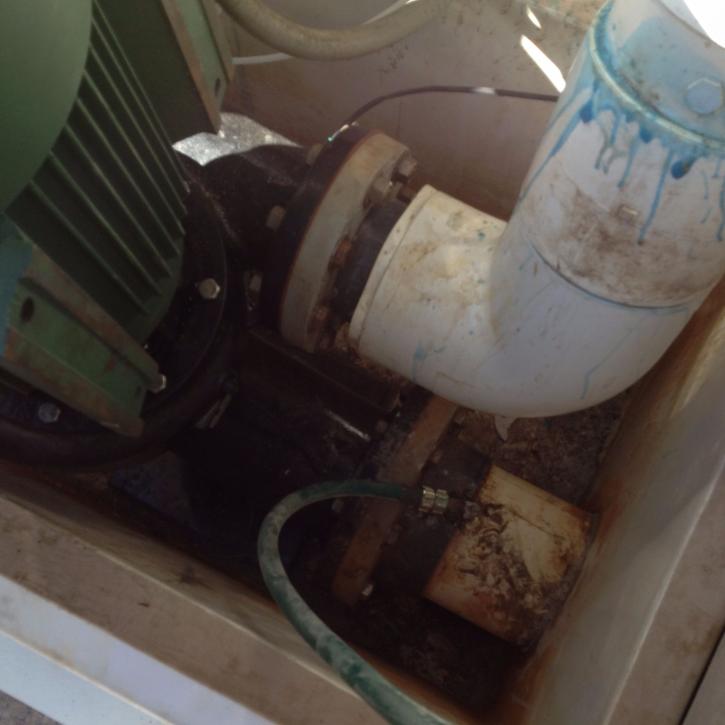 Image for Weston Pool Service Inc with ID of: 2590250