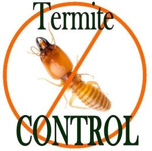 Image for Termite Control Market Trends, Demand and Analysis Till 2025 with ID of: 2590251