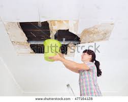 Image for Atterson Water Damage Restoration with ID of: 2591050