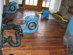 Image for Calman Water Damage Restoration with ID of: 2591057
