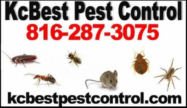 Image for KC Best Pest Control with ID of: 2593349