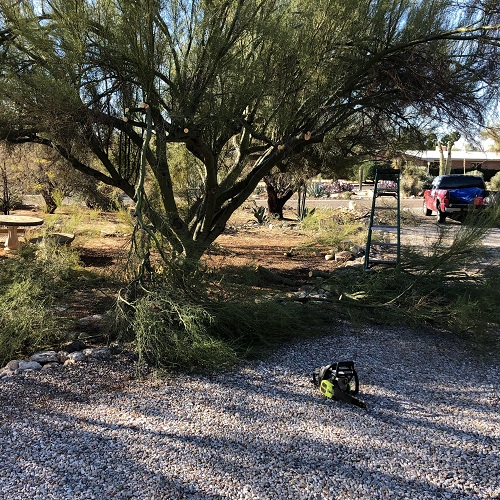 Image for All Yard Work with ID of: 2593969