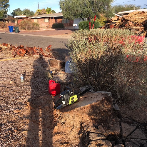 Image for All Yard Work with ID of: 2593971