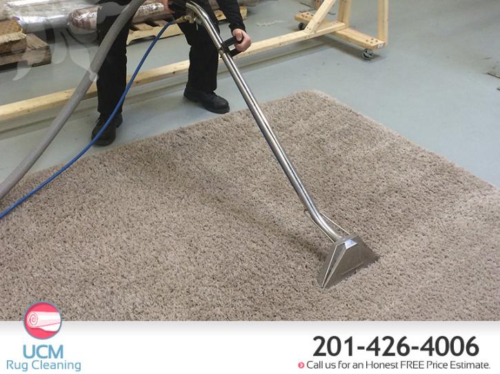 Image for UCM Rug Cleaning with ID of: 2594381