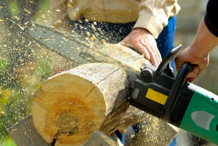 Image for RJ Clements Stump Grinding with ID of: 2596577