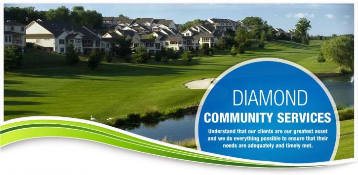 Image for Diamond Community Services with ID of: 2599320
