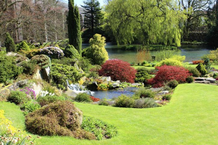 Image for High Class Lawn Care with ID of: 2600614