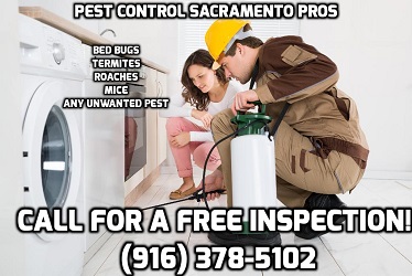 Image for Pest Control Pros with ID of: 2601333