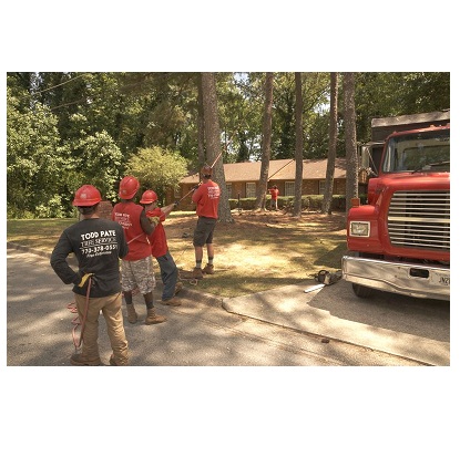 Image for Todd’s Marietta Tree Services with ID of: 2602185