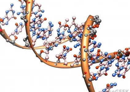 Image for Lymphocyte Activation Gene 3 Protein Market- Size, Share, Outlook, and Forecast till 2026 with ID of: 2602278