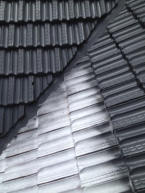 Image for Rooflines with ID of: 2603043